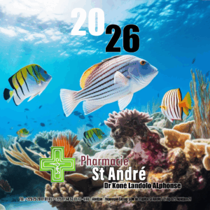 Calendrier Carré - A personnaliser